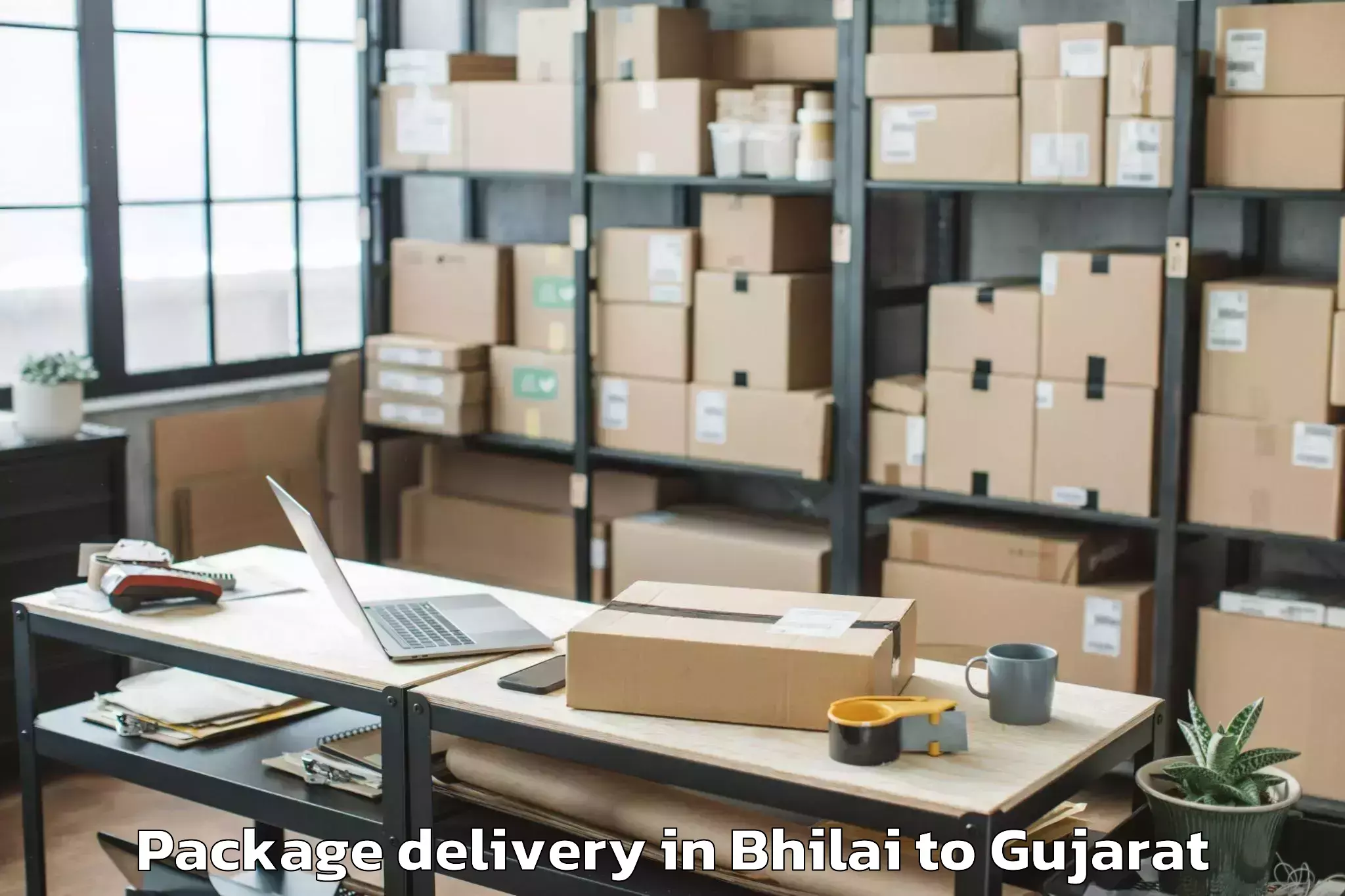 Hassle-Free Bhilai to Udhana Package Delivery